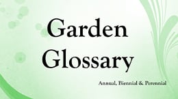 Plant Glossary Annual, Biennial & Perennial
